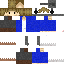 Texture for dexter11