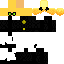 Texture for Chat noir