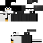 Texture for penguin