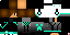 Texture for sert