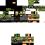 Texture for ds