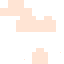 Texture for 4554