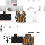 Texture for pengarobo