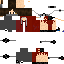 Texture for world skin