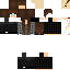 Texture for matheus_rex