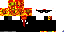 Texture for Phoenix