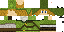 Texture for Link
