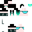 Texture for CATICRAFT