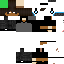 Texture for T4LISBR33