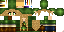 Texture for Link