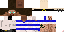 Texture for sam
