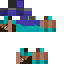 Texture for Upside-Down Steve