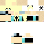 Texture for minecraft skin basic
