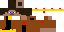 Texture for King Shell