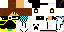 Texture for pedrolink2013