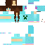 Texture for Shell