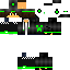 Texture for steve