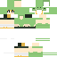 Texture for chameleon