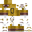 Texture for 321