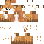 Texture for Fox