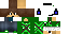 Texture for scm