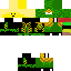 Texture for ninjago