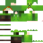 Texture for Map