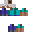 Texture for  Steve