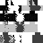 Texture for NIXAIS