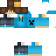 Texture for sfdsakk