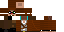 Texture for ChimneySwift11