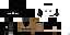 Texture for reconman