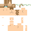 Texture for ds