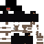 Texture for Draco