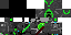 Texture for Creeper Assassin