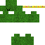Texture for TheCactiWarrior