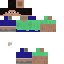 Texture for Steve