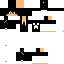 Texture for leo