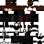 Texture for soarin