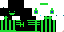 Texture for hariemon