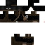 Texture for lgl dark archer