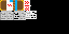 Texture for Mario Kart Wii Guide