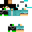 Texture for HoHo