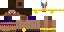 Texture for inca steve