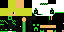 Texture for snopti