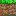 Texture for grass_block_side