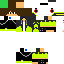 Texture for ada