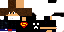 Texture for Steve