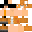 Texture for Fox