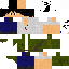 Texture for zectror
